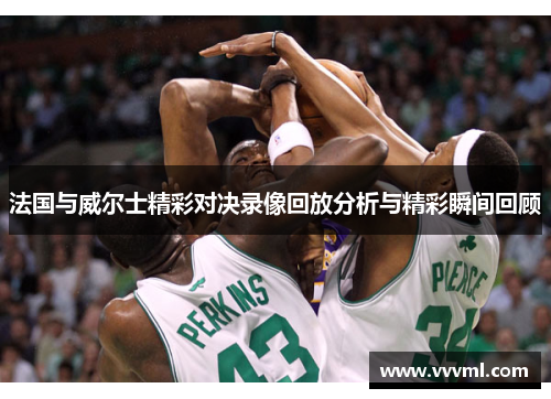 法国与威尔士精彩对决录像回放分析与精彩瞬间回顾